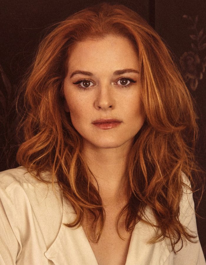 Sarah Drew, Grey's Anatomy & Indivisible